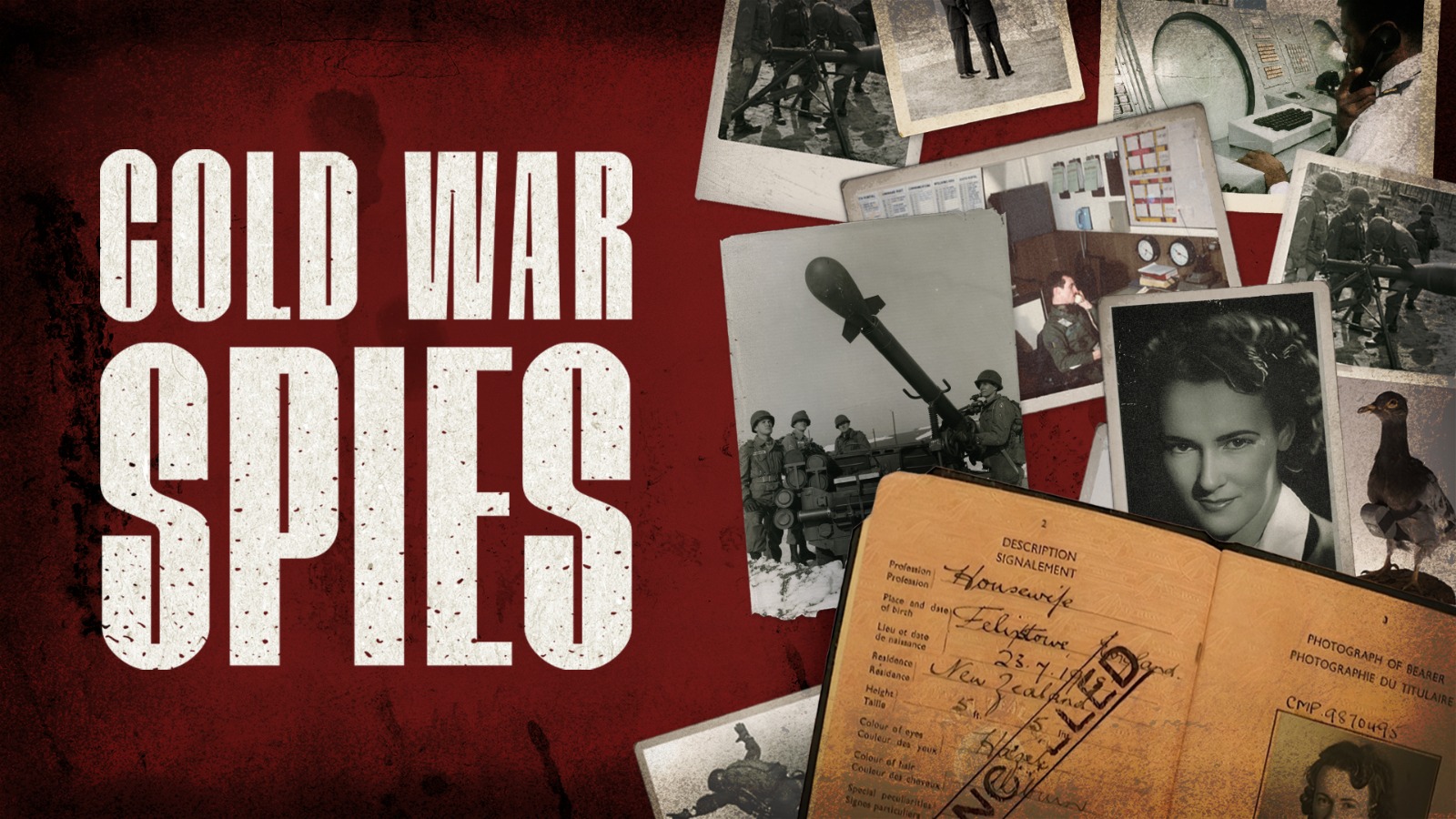 WhatsApp Image 2026-02-09 at 10.42.33 PM (1)